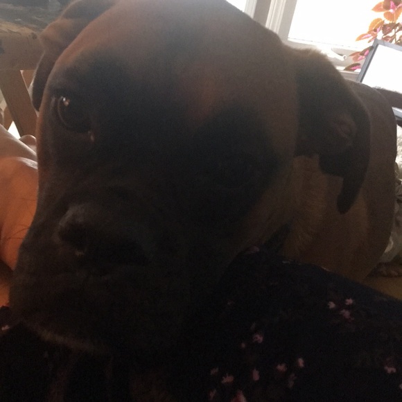 Meet your Posher, Meghann - Picture 1 of 1